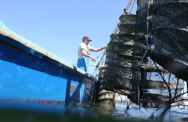 tour to Sete, an oyster farm & Wine Tasting