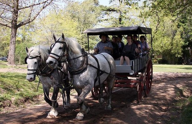 Private GAUCHO TOUR - FULL DAY TRIP Guided in EN, SPA or FR - Argentina