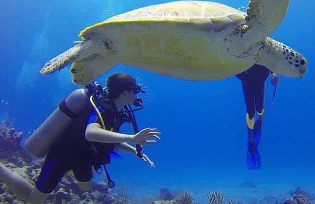 Experience Scuba Diving / NO certification Needed