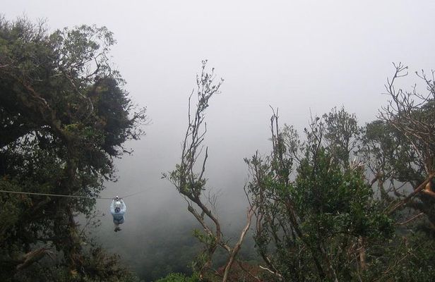 Zipline and Hanging Bridges Combo Tour in Monteverde Cloud Forest