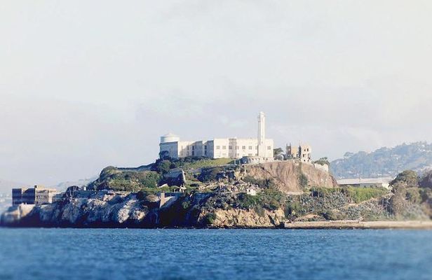 Muir Woods with Napa & Sonoma Wine Tour + Alcatraz Tour & Aquarium Access