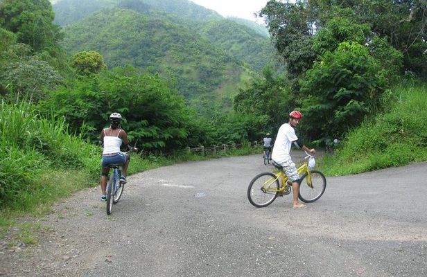 Blue Mountain Bicycle Tour from Kingston
