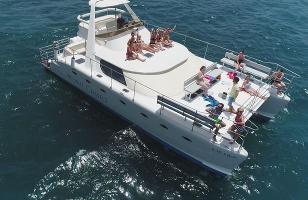 Whale and Dolphin Watching Catamaran with Transfer and Buffet
