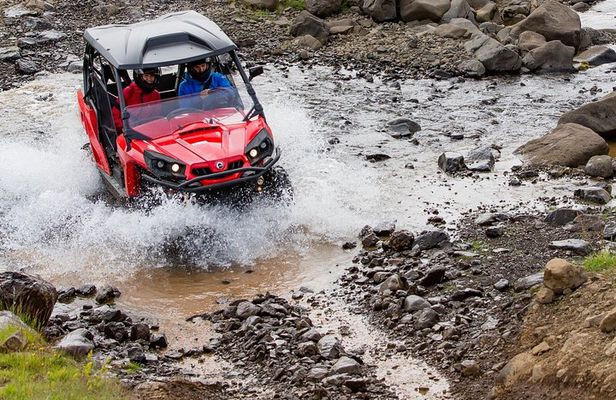 Reykjavik Buggy & Whale Watching Full-Day Adventure