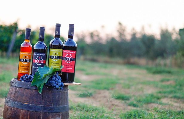 Wine & Oil Tasting Experience