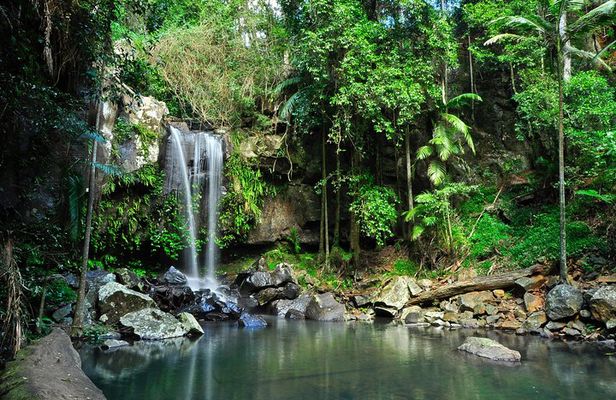 The Tastes of Tamborine Mountain