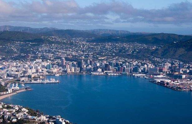 Wellington Shore Excursion City Sightseeing Tour