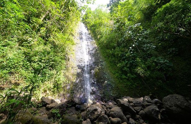 Hawaiian Waterfall Hike