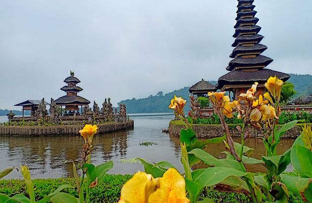Solo or Group Tour - 10 Hours, 5 Persons Max