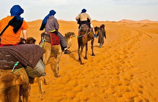 Red Dunes Desert Safari Plus ATV Quad Bike Ride (Land Cruiser)