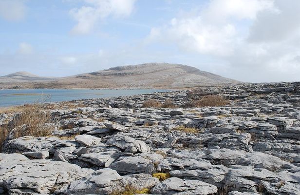 Dublin to Cliffs of Moher, Burren, Wild Atlantic Way, Galway Tour
