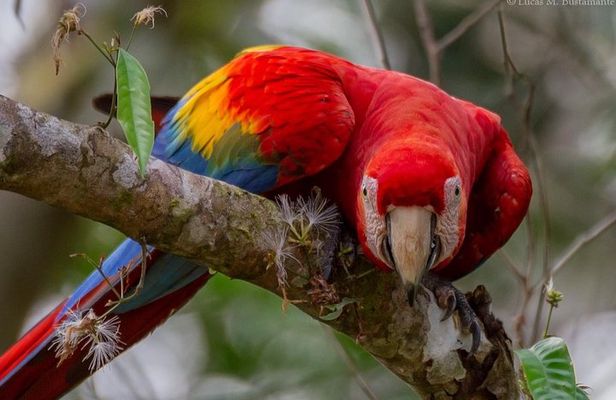 3 Day - Posada Amazonas Classic Program Group Tour