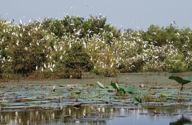 Mekong Delta Tours 3days - CaiBe Vinh Long ChauDoc CanTho