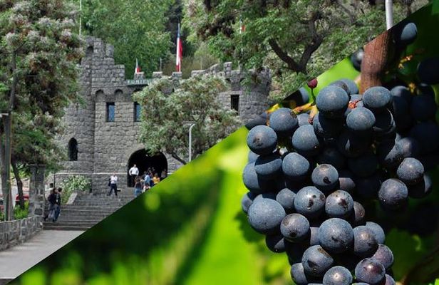 Private Santiago Full-Day Layover Tour