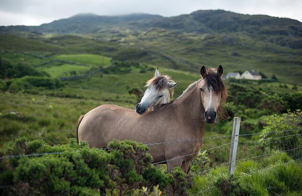 2-Day Connemara and Galway Bay Rail Tour from Dublin