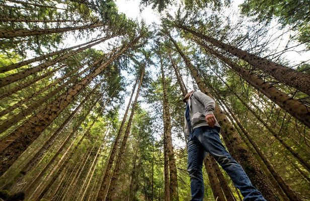 From San Francisco: Alcatraz Island & Guided Muir Woods Tour