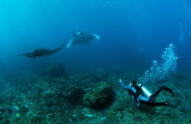 Bali Hai - PADI Advance Open Water Course in Lembongan