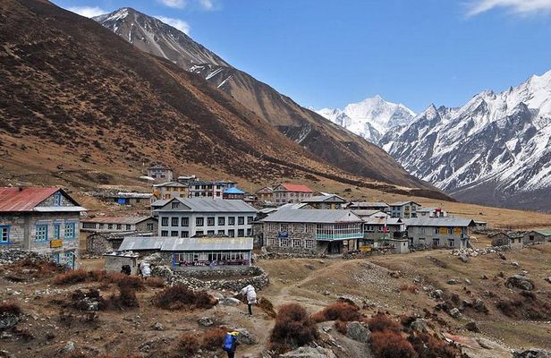 Langtang Valley Trek- 10 Days