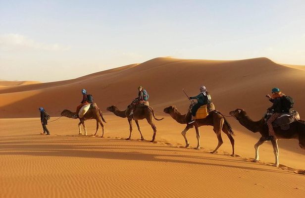 3-Day Private Desert Tour from Marrakech to Fez