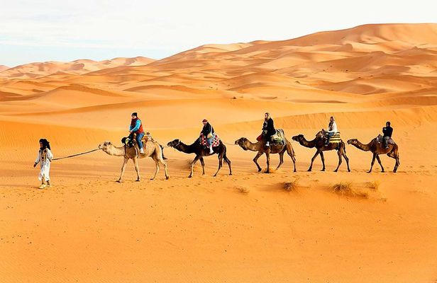 Camel Trekking Dubai with Dune Bashing and Sand Boarding