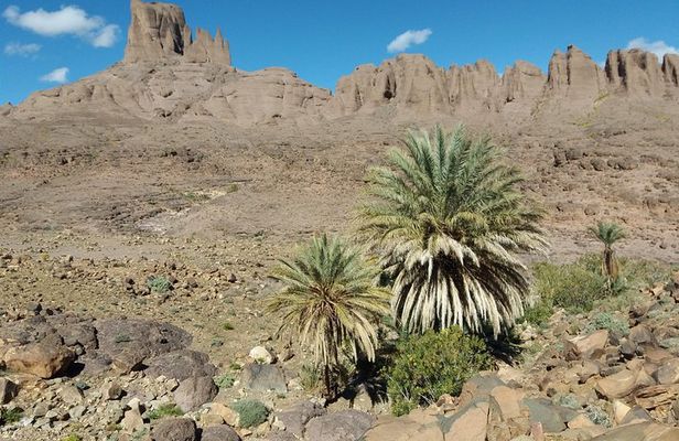 Trek Jebel Saghro Morocco 8 Days