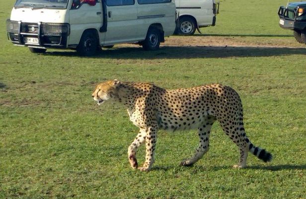 3Days 2nights Masai Mara group joining safari
