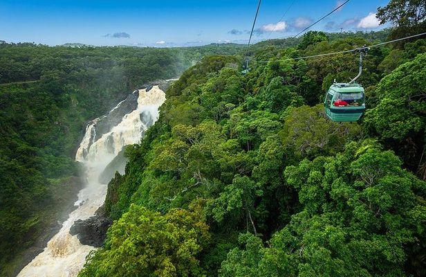 From Port Douglas Tour including Kuranda, Skyrail & Scenic Train