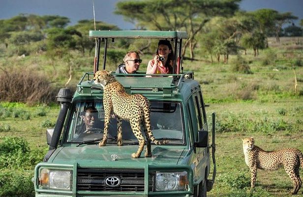 3 Days Masai Mara Wildlife Luxury Jeep Safari