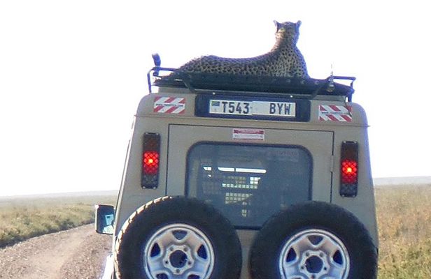 6 Days Camping Tours Lake Manyara, Ngorongoro,Serengeti National Park