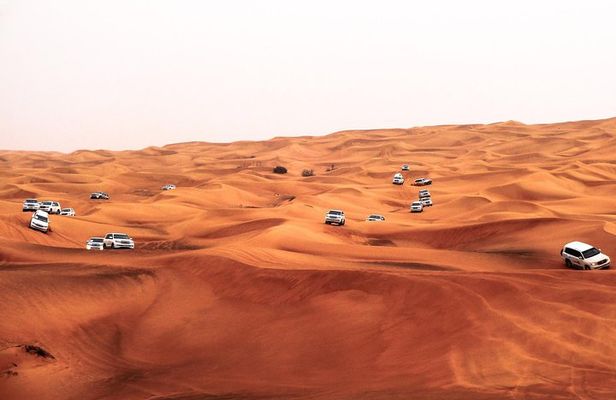Morning Desert Dune Bashing Safari