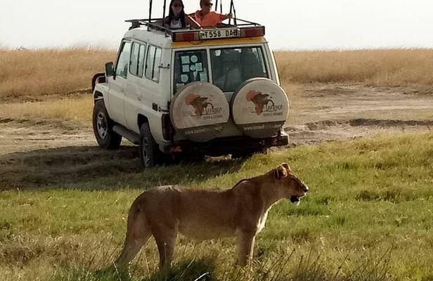 4 Days Affordable Tanzania Budget Safari