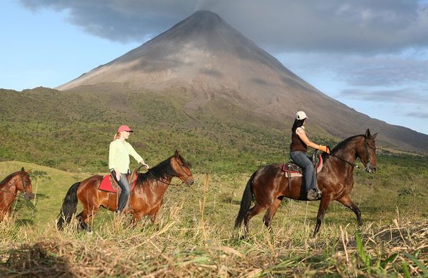 Private and Customized Horseback Riding Adventures