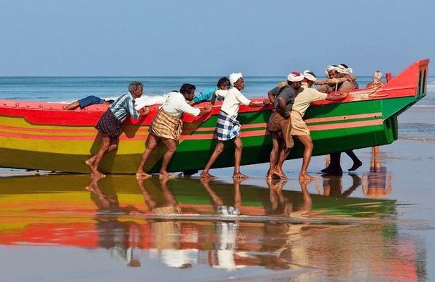 Kerala Package for 8 Days Includes All Transfer,Sightseeing and Accommodation