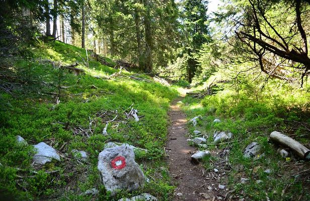 Hiking Cvrsnica mountain
