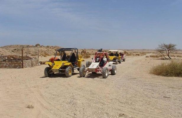 El Gouna Sahara Dune Buggy Morning Adventure