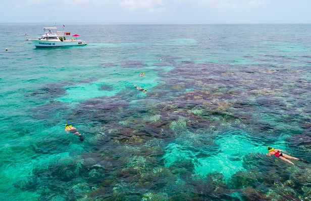 Key Largo Snorkeling Tour - rental mask, fins and vest INCLUDED