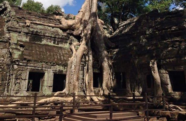 Half-Day Ta Prohm and Banteay Kdei Tour