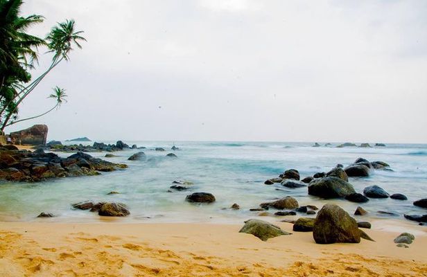 Day Excursion to Historical Galle
