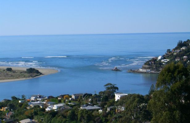 Discover Christchurch Sightseeing Tour with optional International Antarctic Center Admission