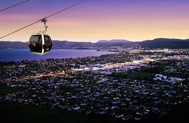 3-Day Wellington to Auckland Tour