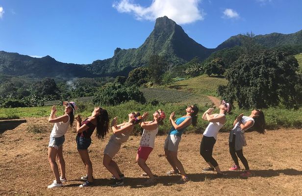 Moorea 4WD Tour: Magic Mountain, Belvedere, Pineapple Road & More
