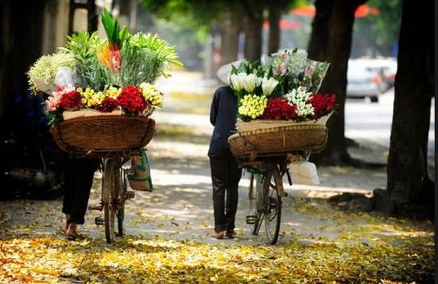 Hanoi Local Market Discovery