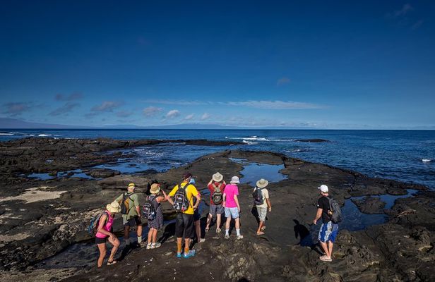 Seymour North Island & Las Bachas Full-Day Tour