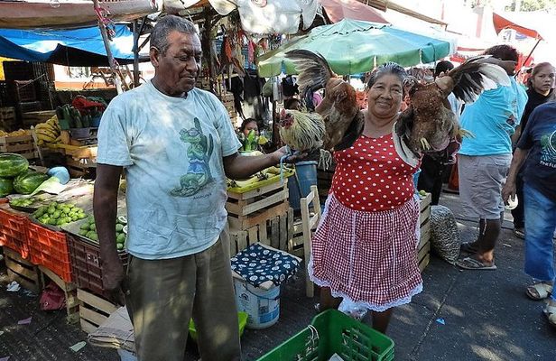 Hidden Acapulco: Off-the-Beaten-Path Immersive with Local Lunch