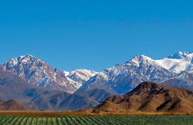 Private Uco Valley Tour paired Lunch, Wine Tastings from Mendoza