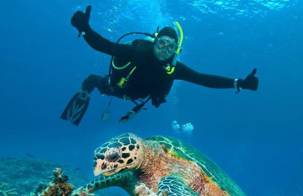 St Maarten Scuba Diving for Certified Divers