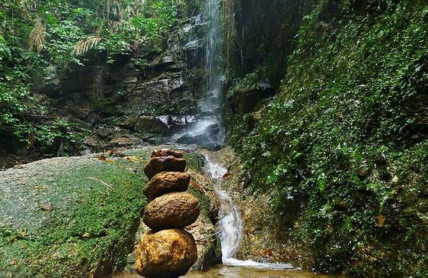 Tijuca Forest Hiking Tour including Waterfalls