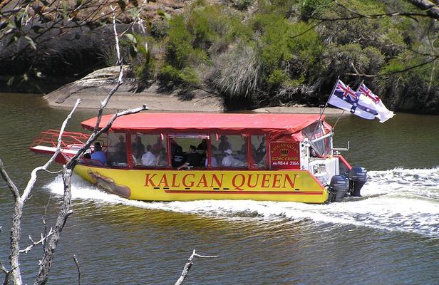 Kalgan Queen Scenic Cruises a four hour sheltered water wildlife tour daily fun.