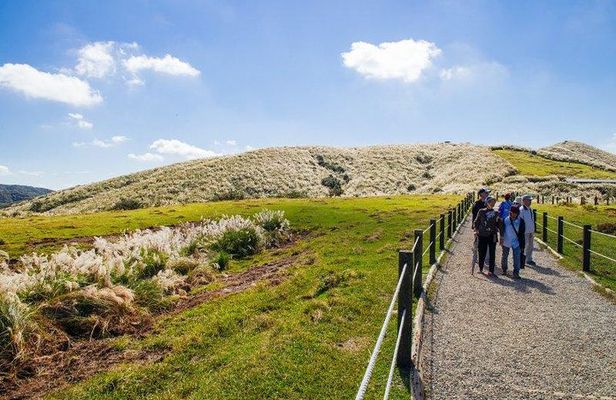 5-Hour Vegetarian Private Tour - Visit Yangmingshan and Taste Veggie Cuisine