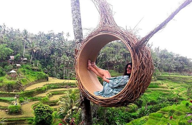 A Day Trip to Tukad Cepung & Rice Terrace